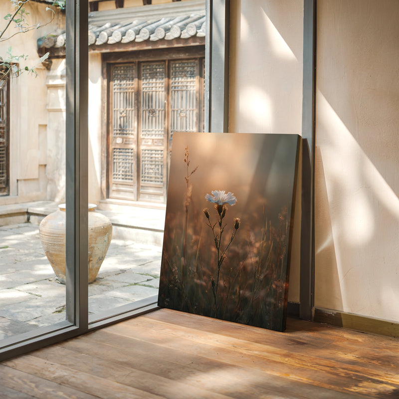 A Single Bloom In Sunrise's Embrace