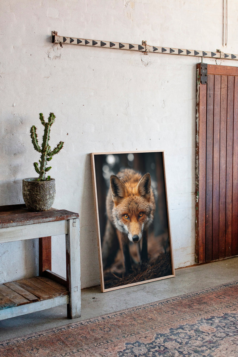 The Watcher Beneath Ancient Pines