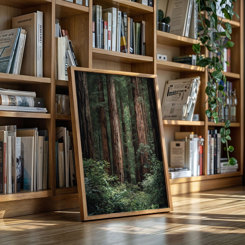 Beneath Ancient Canopy