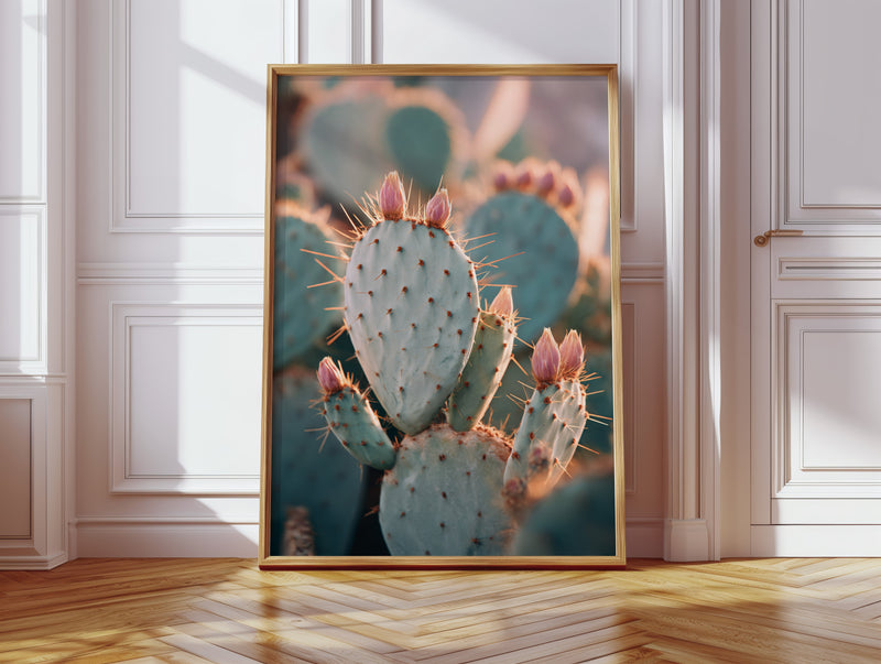 Cacti Embrace the Golden Dawn