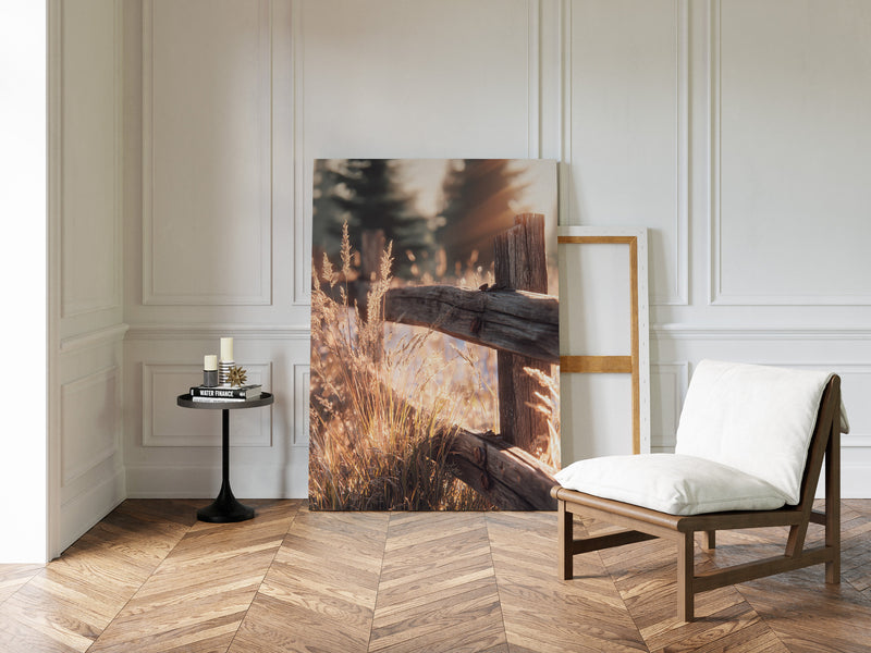 Golden Light on Weathered Wood