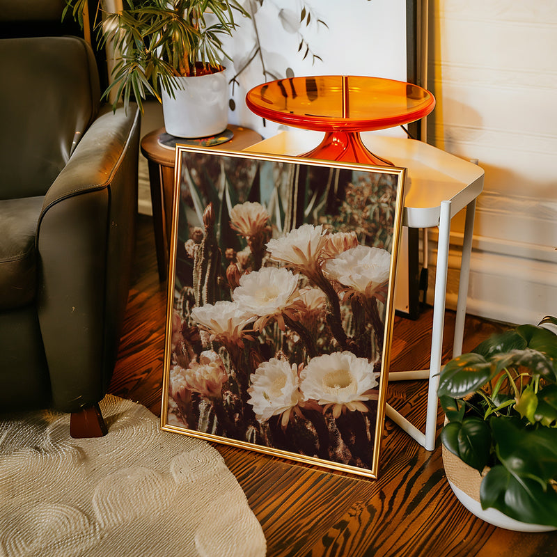 Eloquent Blooms Beneath the Sun