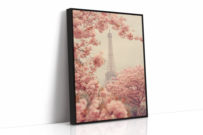 Petals Dance Beneath Parisian Skies