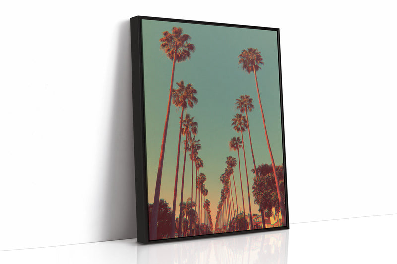 Avenue of Golden Palms