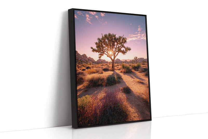 The Sun's Embrace on Desert Sage