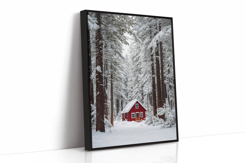 Sanctuary Beneath Snow-Covered Pines