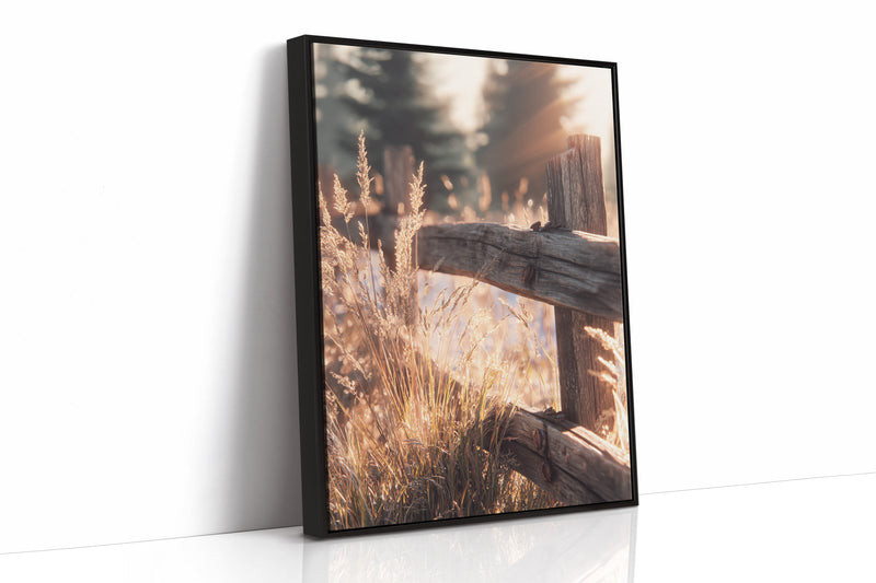 Golden Light on Weathered Wood