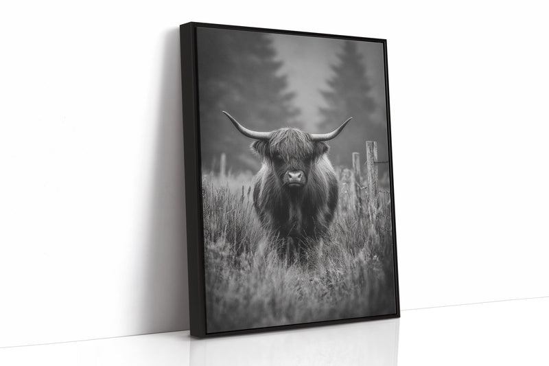 Majesty Amidst Morning Mist