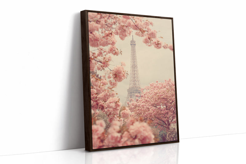 Petals Dance Beneath Parisian Skies