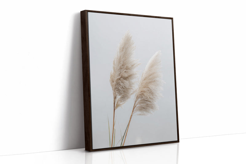 Dancing Grasses In Soft Light