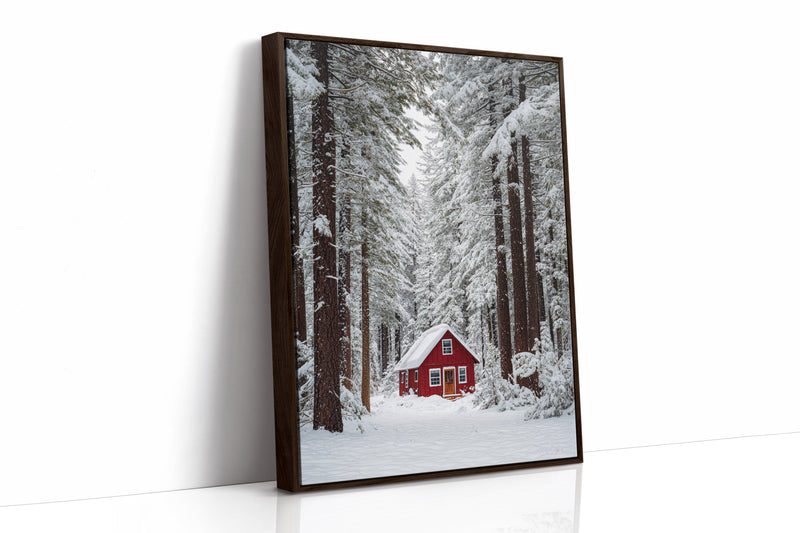 Sanctuary Beneath Snow-Covered Pines