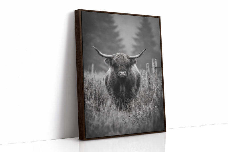 Majesty Amidst Morning Mist