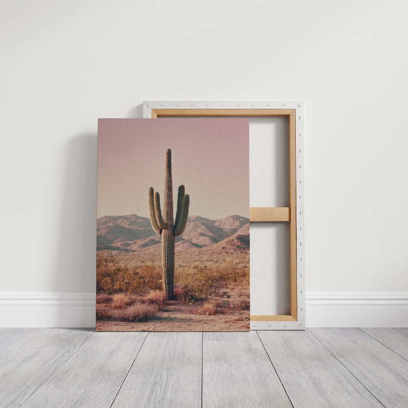 Beneath the Endless Desert Sky