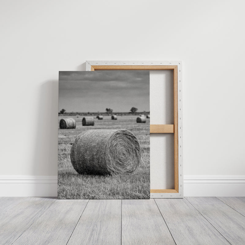 Harvested Echoes of Summer