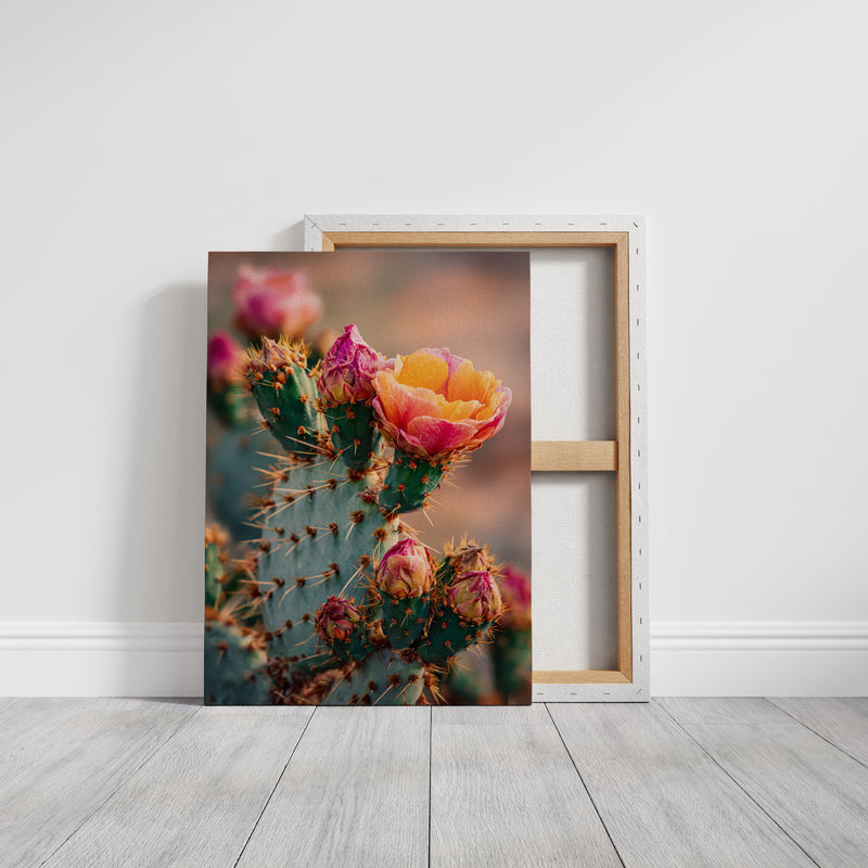 Blossoms Amidst Thorny Embrace