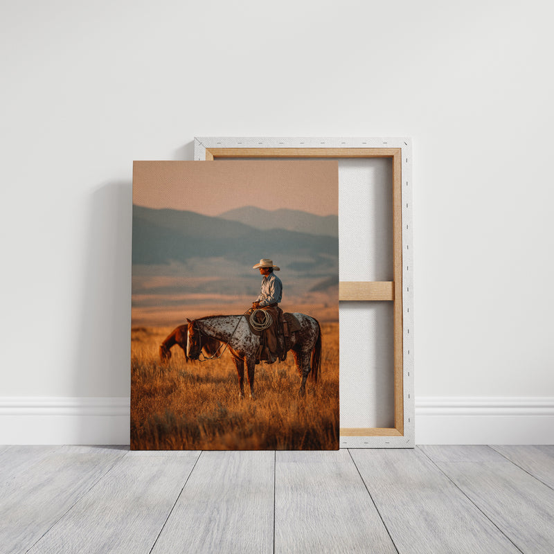 Glimmers of a Sunlit Prairie