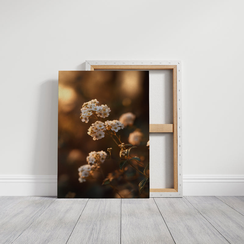 In the Glow of Petal Promises