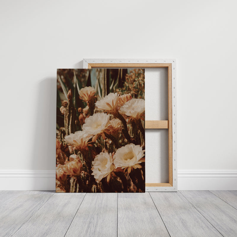 Eloquent Blooms Beneath the Sun