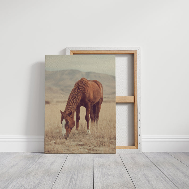 The Last Bite of Sunlit Grass