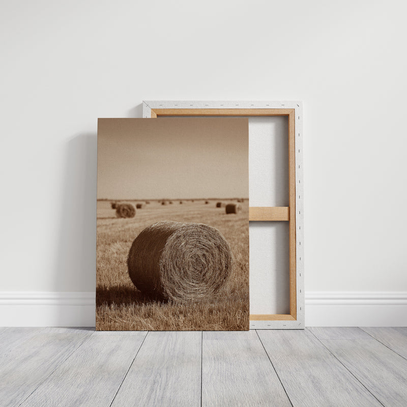 Harvested Echoes of Autumn