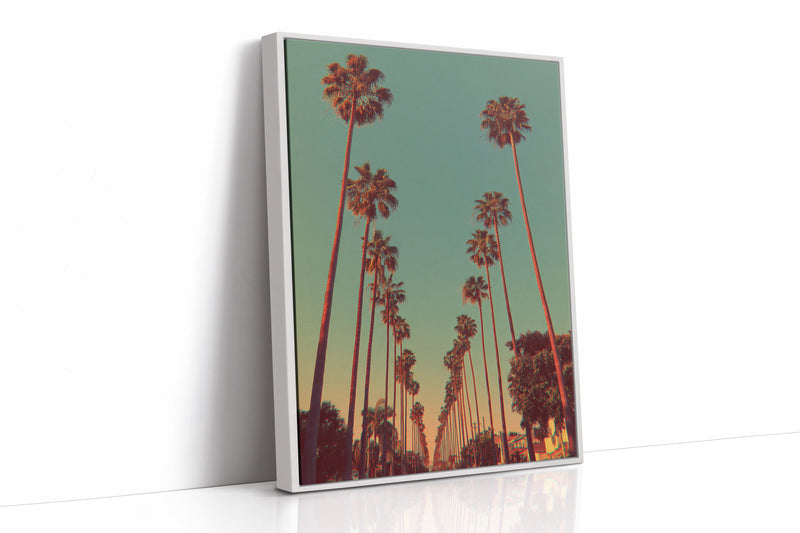 Avenue of Golden Palms