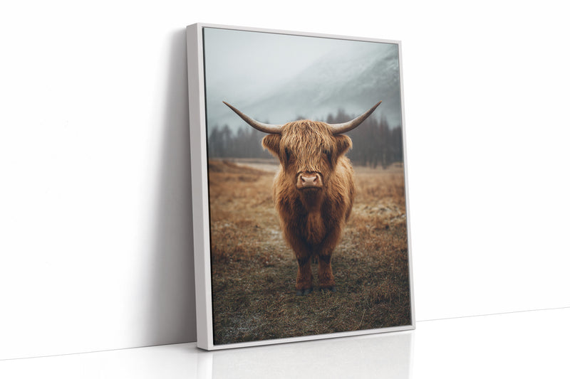 Guardian of the Highland Meadow