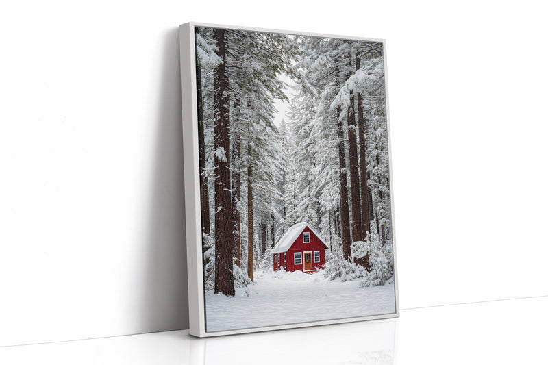 Sanctuary Beneath Snow-Covered Pines