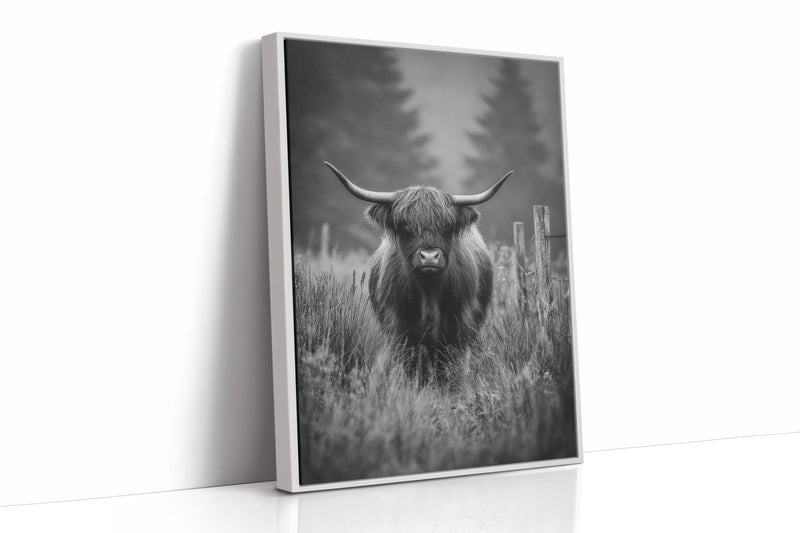 Majesty Amidst Morning Mist