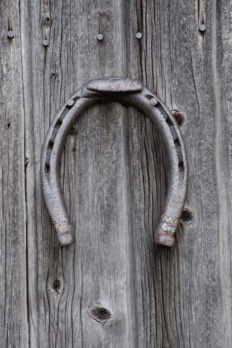 Horseshoe Hanging On A Wooden Wall