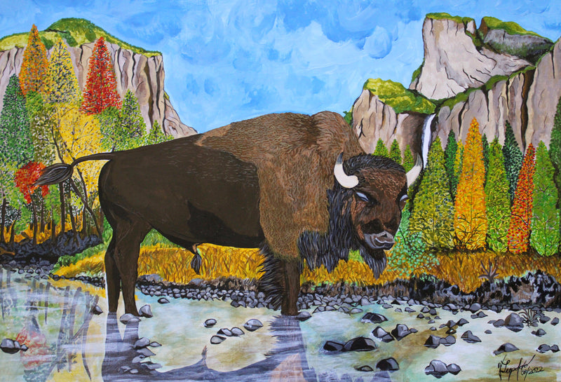 The bison in Yosemite National Park and Capitan Mountain
