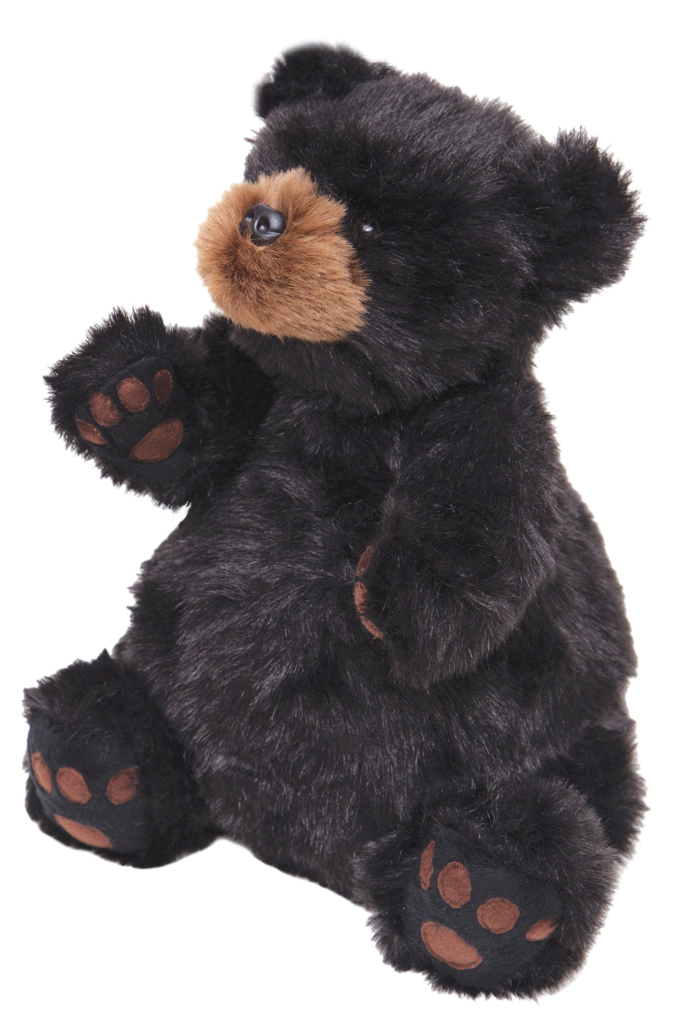 Year of the Teddy Bear Ben Teddy Bear