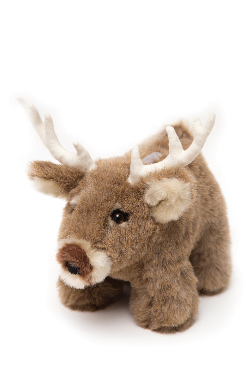 White Tail Deer Coin Bank