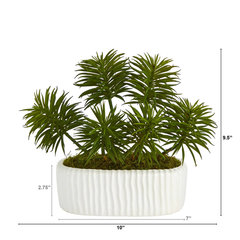10” Succulent Artificial Plant in White Planter by Nearly Natural