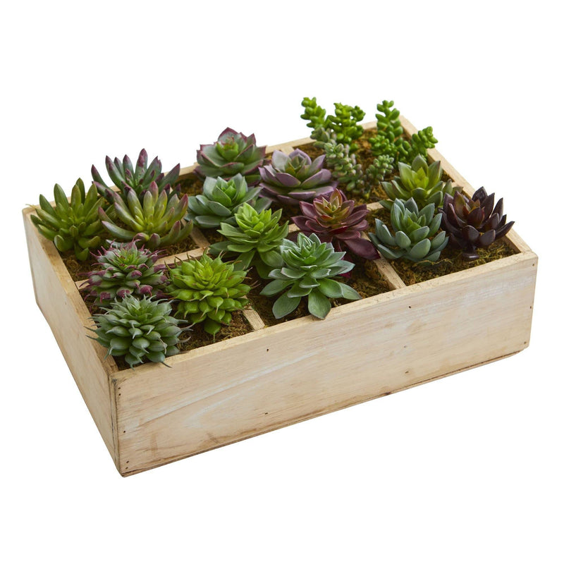 12” Mixed Succulent Garden in Tray Artificial Plant by Nearly Natural