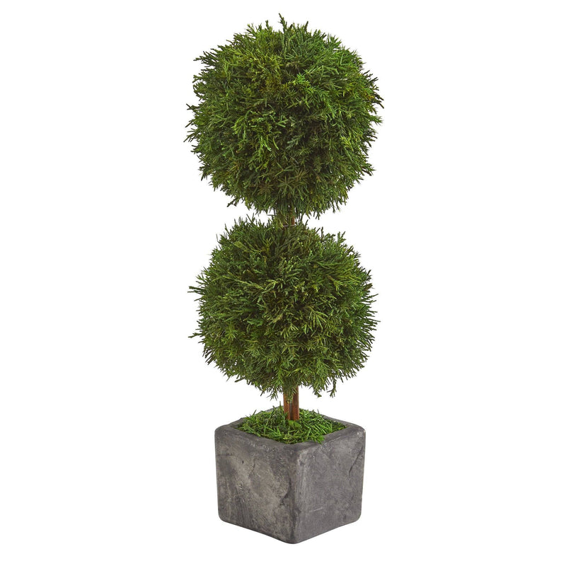 16” Cypress Double Ball Preserved Plant in Decorative Planter by Nearly Natural