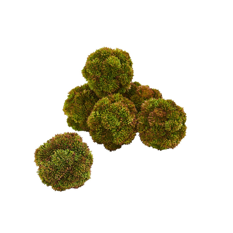 4” Sedum Artificial Succulent Artificial Spheres (Set of 6) by Nearly Natural