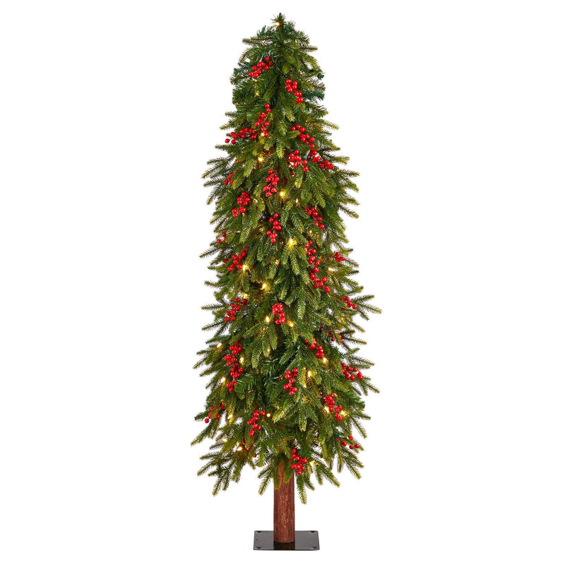 5’ Victoria Fir Artificial Christmas Tree by Nearly Natural