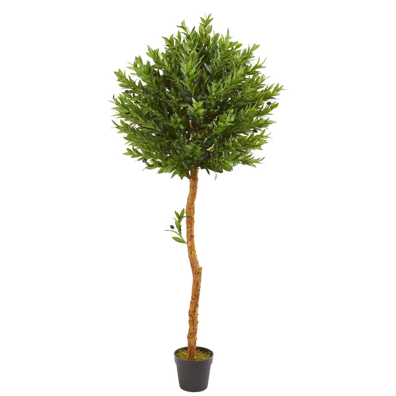 5.5’ Olive Topiary Artificial Tree UV Resistant (Indoor/Outdoor) by Nearly Natural