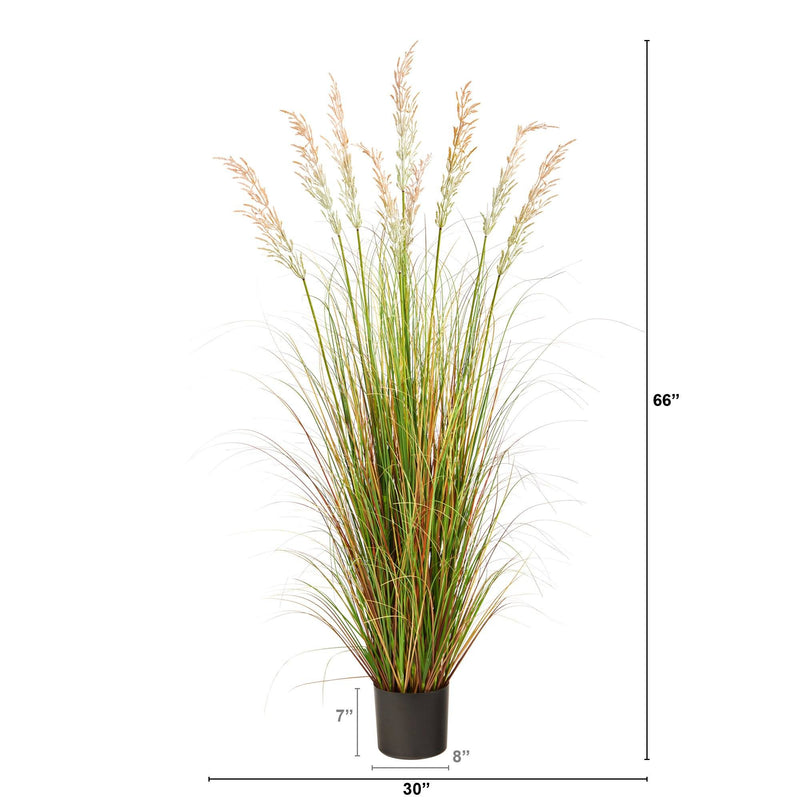 5.5’ Plum Grass Artificial Plant by Nearly Natural