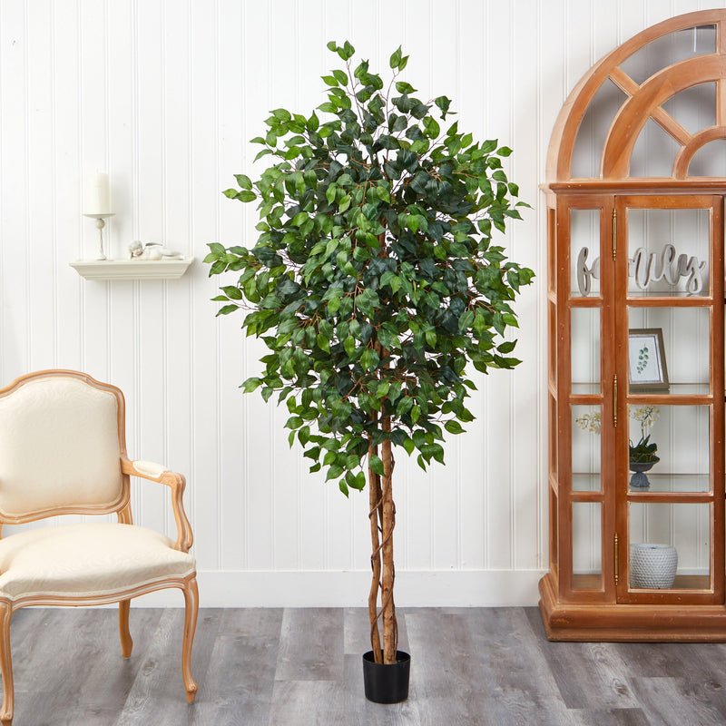 6' Ficus Silk Tree by Nearly Natural