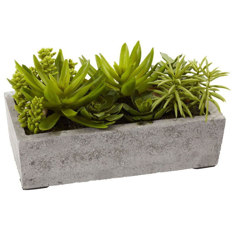 Succulent Garden w/Concrete Planter by Nearly Natural