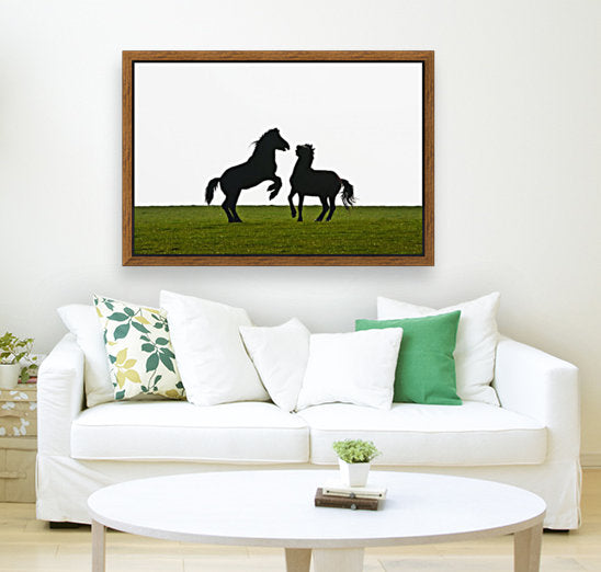 Horses playing in a field